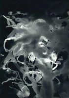 http://www.actionaqua.com/files/gimgs/th-113_bodensee  9invert.jpg